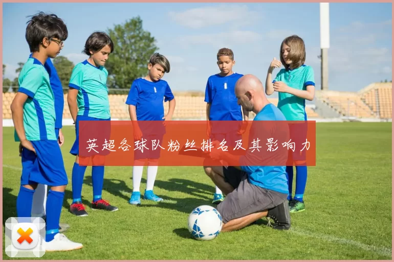 英超各球队粉丝排名及其影响力