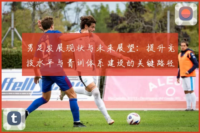 男足发展现状与未来展望：提升竞技水平与青训体系建设的关键路径