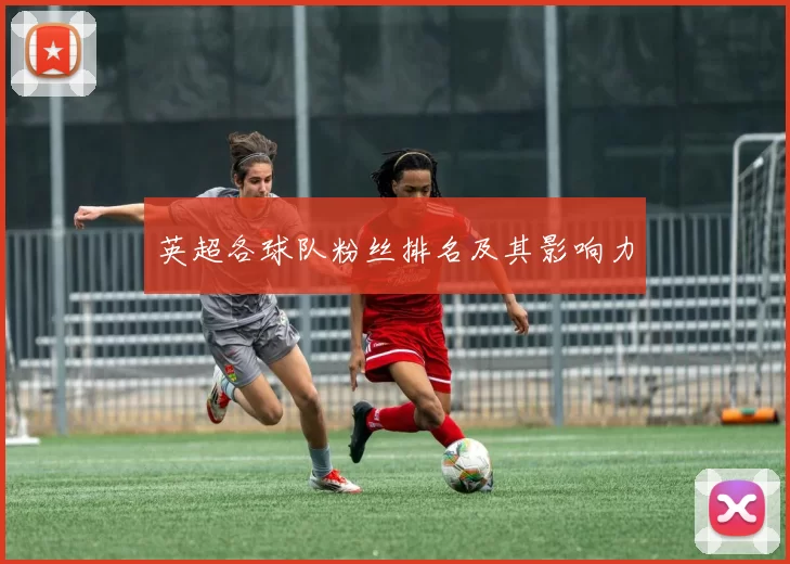 英超各球队粉丝排名及其影响力