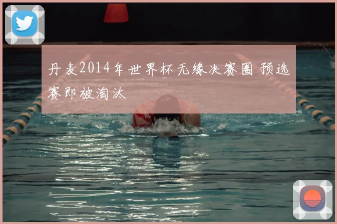 丹麦2014年世界杯无缘决赛圈 预选赛即被淘汰