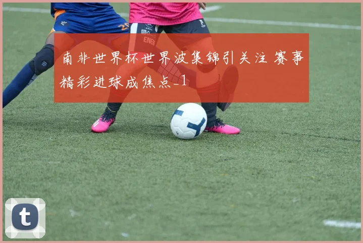 南非世界杯世界波集锦引关注 赛事精彩进球成焦点_1