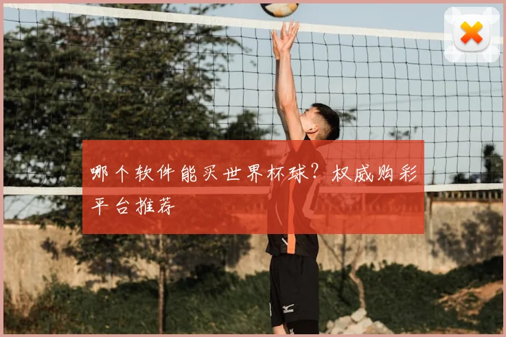 哪个软件能买世界杯球？权威购彩平台推荐
