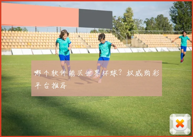 哪个软件能买世界杯球？权威购彩平台推荐