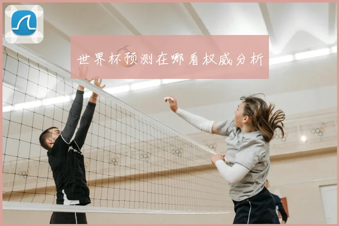 世界杯预测在哪看权威分析