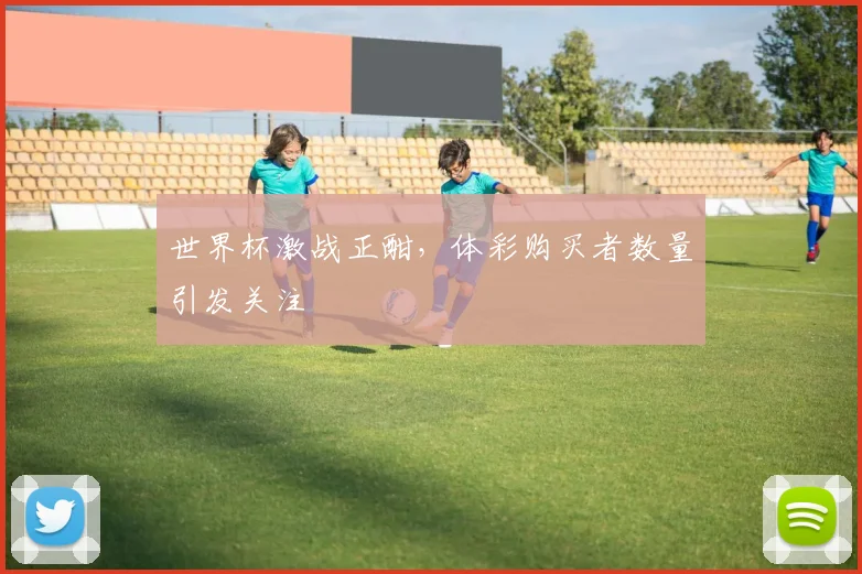 世界杯激战正酣,体彩购买者数量引发关注