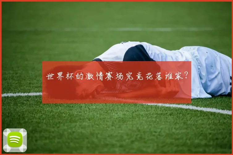 世界杯的激情赛场究竟花落谁家?