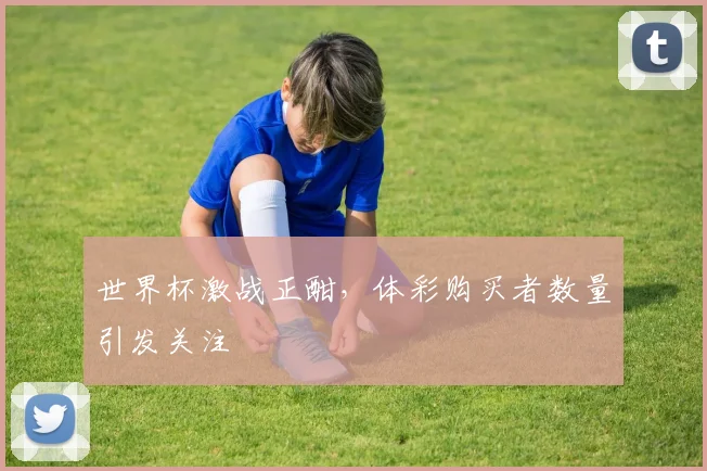 世界杯激战正酣,体彩购买者数量引发关注