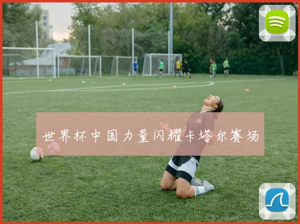 世界杯中国力量闪耀卡塔尔赛场