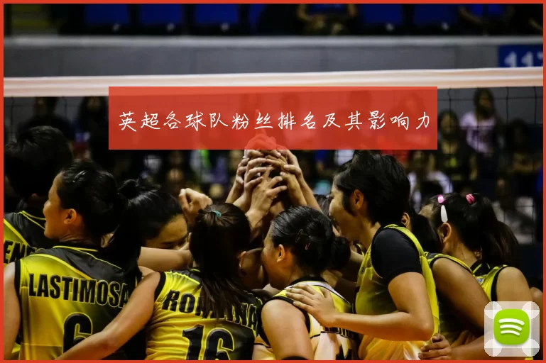 英超各球队粉丝排名及其影响力