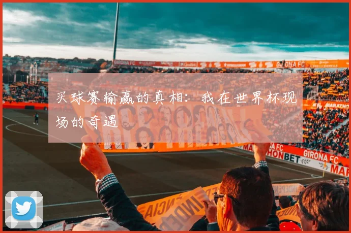 买球赛输赢的真相:我在世界杯现场的奇遇