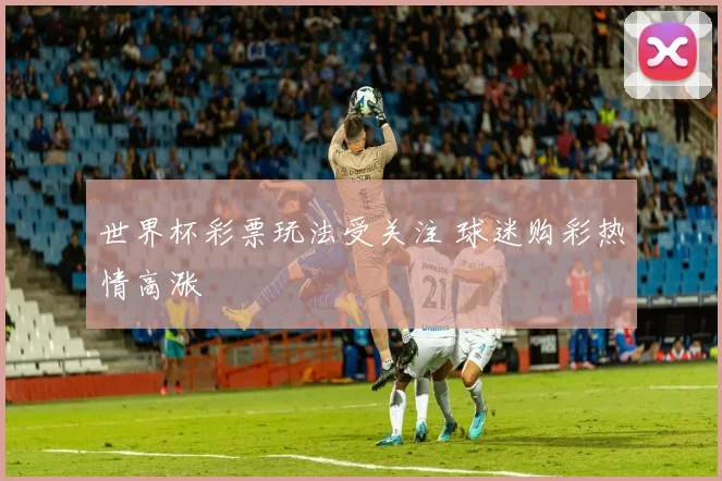 世界杯彩票玩法受关注 球迷购彩热情高涨