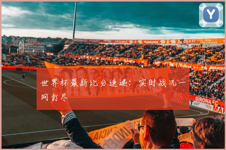世界杯最新比分速递:实时战况一网打尽