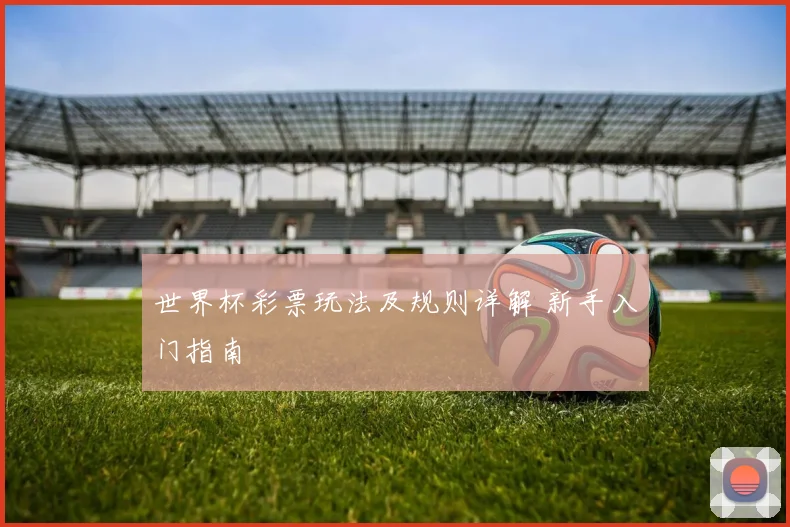 世界杯彩票玩法及规则详解 新手入门指南