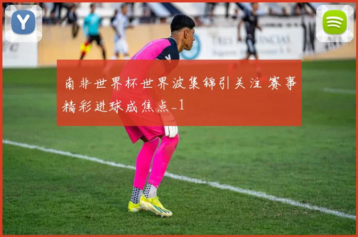南非世界杯世界波集锦引关注 赛事精彩进球成焦点_1