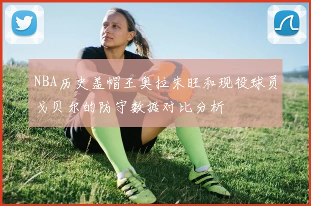 NBA历史盖帽王奥拉朱旺和现役球员戈贝尔的防守数据对比分析