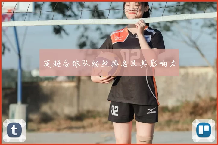 英超各球队粉丝排名及其影响力