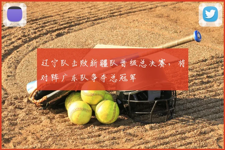 辽宁队击败新疆队晋级总决赛，将对阵广东队争夺总冠军