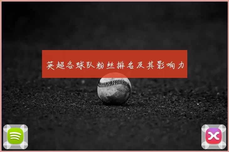 英超各球队粉丝排名及其影响力