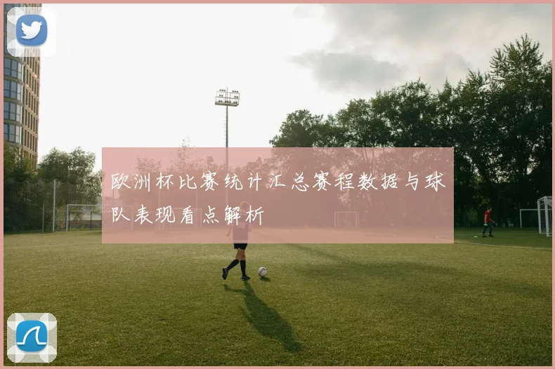 欧洲杯比赛统计汇总赛程数据与球队表现看点解析