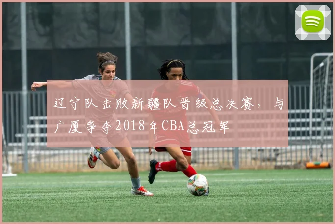辽宁队击败新疆队晋级总决赛,与广厦争夺2018年CBA总冠军