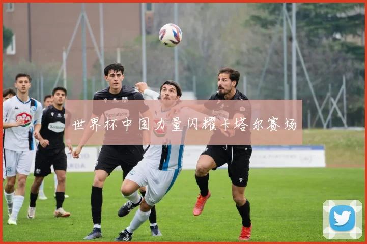 世界杯中国力量闪耀卡塔尔赛场