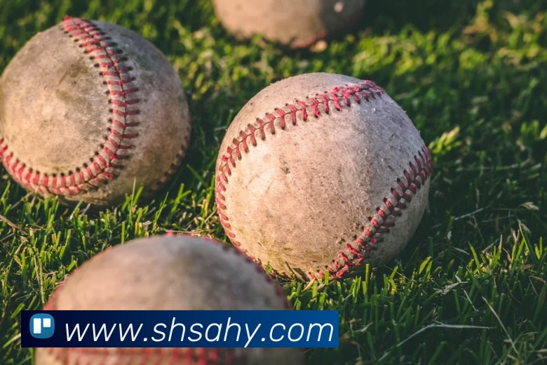 华体会手机网页版APP 封面图